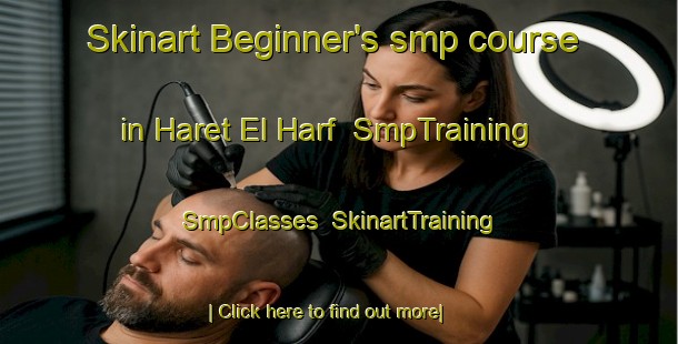 Skinart Beginner's smp course in Haret El Harf | SmpTraining | SmpClasses | SkinartTraining-Lebanon