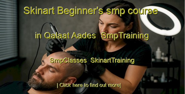 Skinart Beginner's smp course in Qalaat Aades | SmpTraining | SmpClasses | SkinartTraining-Lebanon