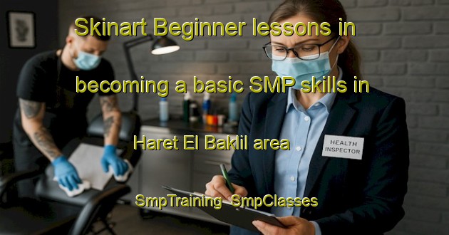 Skinart Beginner lessons in becoming a basic SMP skills in Haret El Baklil area | SmpTraining | SmpClasses | SkinartTraining-Lebanon