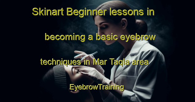 Skinart Beginner lessons in becoming a basic eyebrow techniques in Mar Taqla area | EyebrowTraining | EyebrowClasses | SkinartTraining-Lebanon