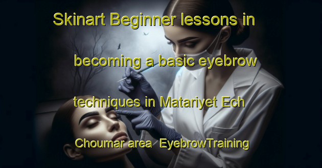 Skinart Beginner lessons in becoming a basic eyebrow techniques in Matariyet Ech Choumar area | EyebrowTraining | EyebrowClasses | SkinartTraining-Lebanon
