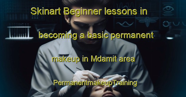Skinart Beginner lessons in becoming a basic permanent makeup in Mdamit area | PermanentmakeupTraining | PermanentmakeupClasses | SkinartTraining-Lebanon