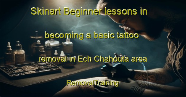 Skinart Beginner lessons in becoming a basic tattoo removal in Ech Chahouta area | RemovalTraining | RemovalClasses | SkinartTraining-Lebanon
