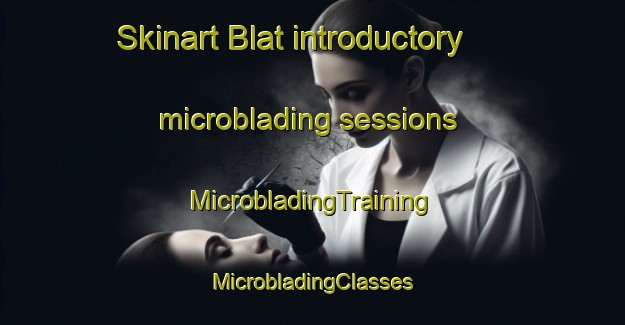 Skinart Blat introductory microblading sessions | #MicrobladingTraining #MicrobladingClasses #SkinartTraining-Lebanon