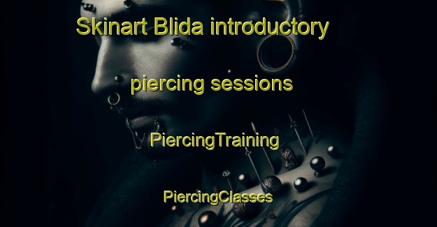 Skinart Blida introductory piercing sessions | #PiercingTraining #PiercingClasses #SkinartTraining-Lebanon