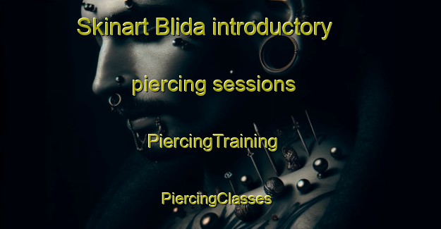 Skinart Blida introductory piercing sessions | PiercingTraining | PiercingClasses | SkinartTraining-Lebanon