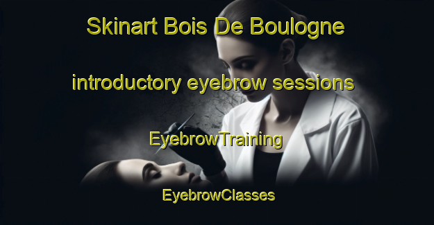 Skinart Bois De Boulogne introductory eyebrow sessions | EyebrowTraining | EyebrowClasses | SkinartTraining-Lebanon