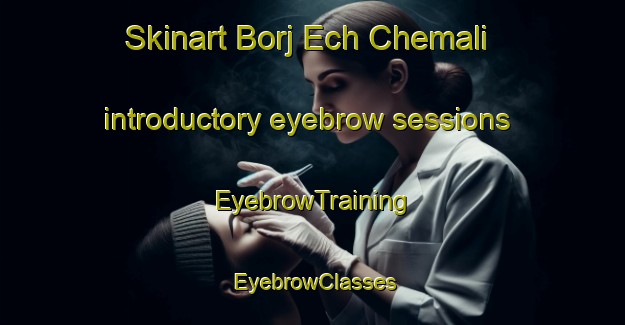Skinart Borj Ech Chemali introductory eyebrow sessions | EyebrowTraining | EyebrowClasses | SkinartTraining-Lebanon