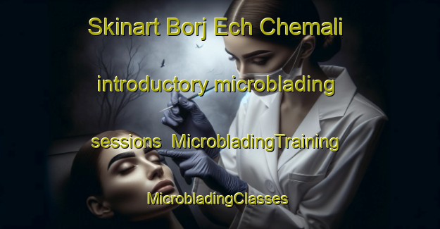 Skinart Borj Ech Chemali introductory microblading sessions | MicrobladingTraining | MicrobladingClasses | SkinartTraining-Lebanon