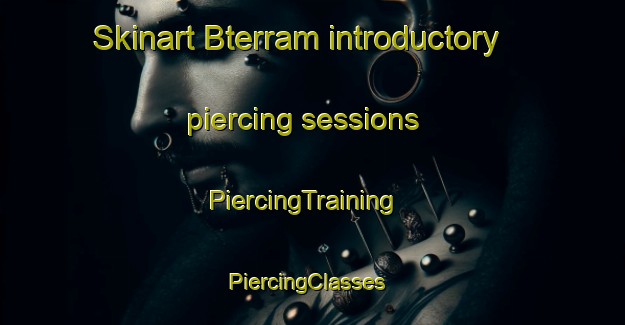 Skinart Bterram introductory piercing sessions | PiercingTraining | PiercingClasses | SkinartTraining-Lebanon