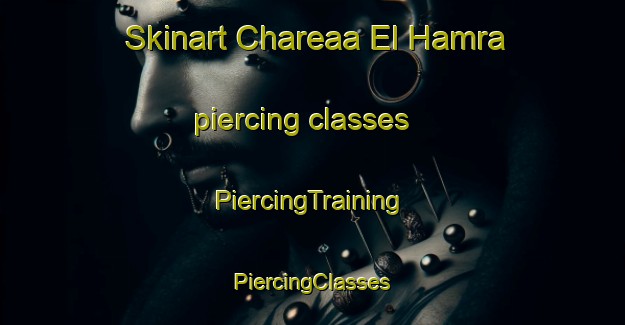 Skinart Chareaa El Hamra piercing classes | #PiercingTraining #PiercingClasses #SkinartTraining-Lebanon