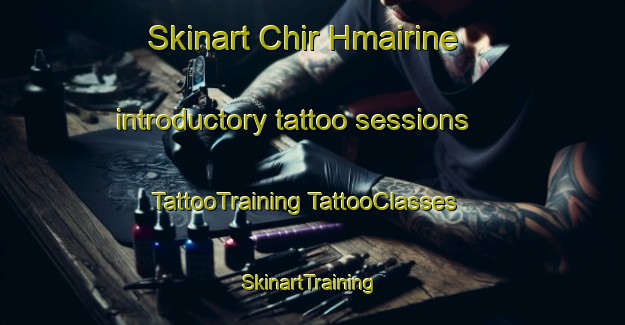 Skinart Chir Hmairine introductory tattoo sessions | #TattooTraining #TattooClasses #SkinartTraining-Lebanon