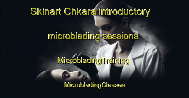 Skinart Chkara introductory microblading sessions | #MicrobladingTraining #MicrobladingClasses #SkinartTraining-Lebanon