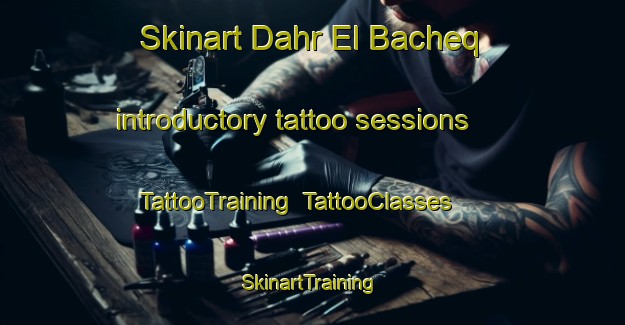 Skinart Dahr El Bacheq introductory tattoo sessions | TattooTraining | TattooClasses | SkinartTraining-Lebanon