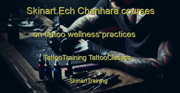 Skinart Ech Chahhara courses on tattoo wellness practices | #TattooTraining #TattooClasses #SkinartTraining-Lebanon