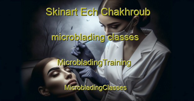Skinart Ech Chakhroub microblading classes | MicrobladingTraining | MicrobladingClasses | SkinartTraining-Lebanon