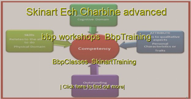 Skinart Ech Charbine advanced bbp workshops | BbpTraining | BbpClasses | SkinartTraining-Lebanon