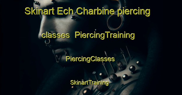 Skinart Ech Charbine piercing classes | #PiercingTraining #PiercingClasses #SkinartTraining-Lebanon