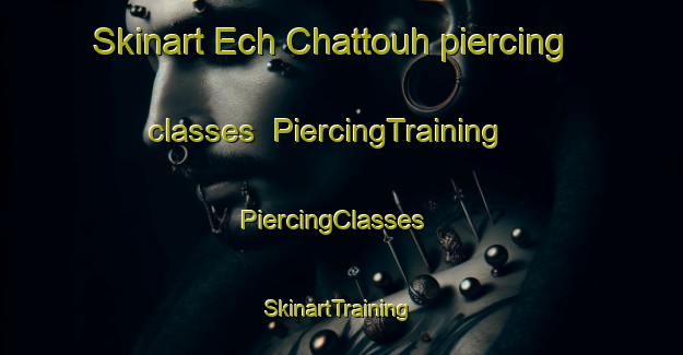Skinart Ech Chattouh piercing classes | PiercingTraining | PiercingClasses | SkinartTraining-Lebanon