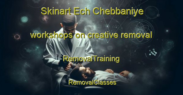 Skinart Ech Chebbaniye workshops on creative removal | RemovalTraining | RemovalClasses | SkinartTraining-Lebanon