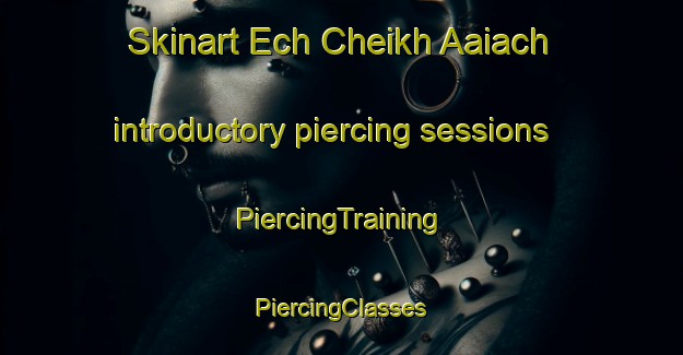 Skinart Ech Cheikh Aaiach introductory piercing sessions | #PiercingTraining #PiercingClasses #SkinartTraining-Lebanon