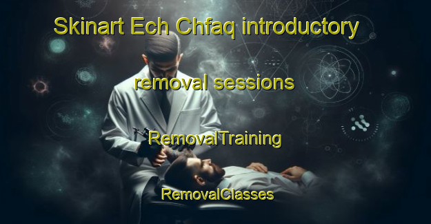 Skinart Ech Chfaq introductory removal sessions | RemovalTraining | RemovalClasses | SkinartTraining-Lebanon