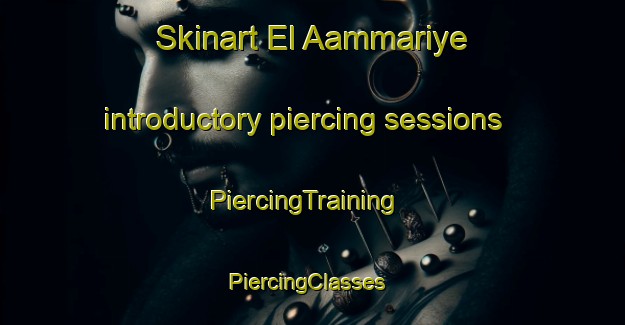 Skinart El Aammariye introductory piercing sessions | PiercingTraining | PiercingClasses | SkinartTraining-Lebanon