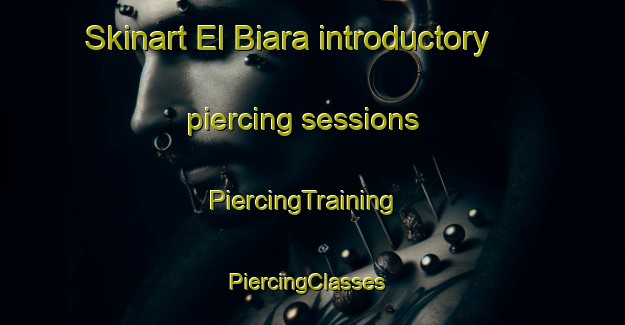 Skinart El Biara introductory piercing sessions | PiercingTraining | PiercingClasses | SkinartTraining-Lebanon