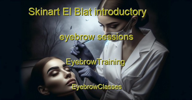 Skinart El Blat introductory eyebrow sessions | EyebrowTraining | EyebrowClasses | SkinartTraining-Lebanon