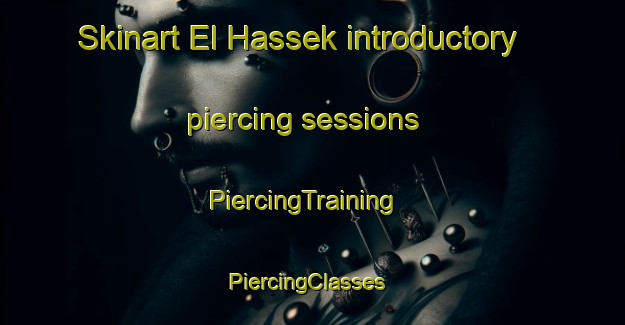 Skinart El Hassek introductory piercing sessions | PiercingTraining | PiercingClasses | SkinartTraining-Lebanon