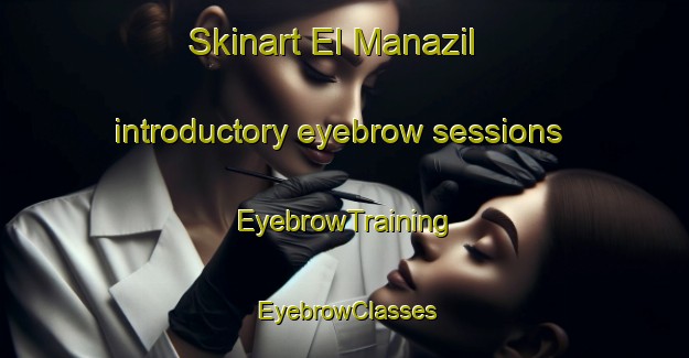Skinart El Manazil introductory eyebrow sessions | EyebrowTraining | EyebrowClasses | SkinartTraining-Lebanon