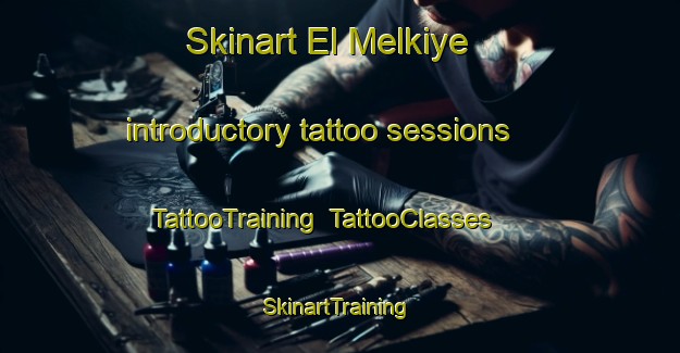 Skinart El Melkiye introductory tattoo sessions | TattooTraining | TattooClasses | SkinartTraining-Lebanon