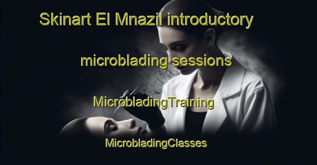 Skinart El Mnazil introductory microblading sessions | MicrobladingTraining | MicrobladingClasses | SkinartTraining-Lebanon