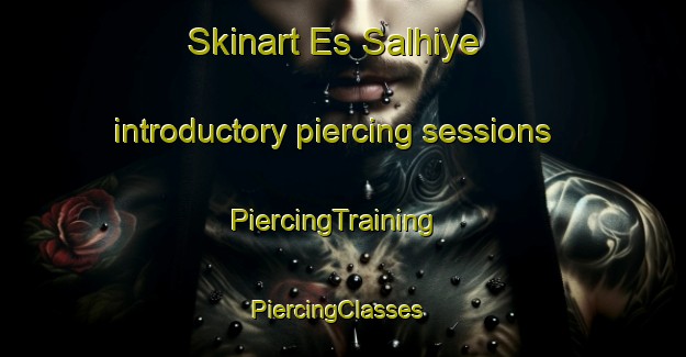 Skinart Es Salhiye introductory piercing sessions | PiercingTraining | PiercingClasses | SkinartTraining-Lebanon