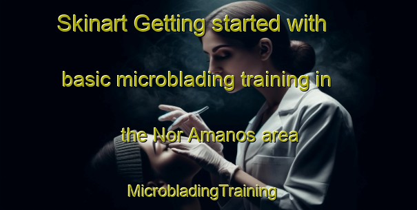 Skinart Getting started with basic microblading training in the Nor Amanos area | MicrobladingTraining | MicrobladingClasses | SkinartTraining-Lebanon