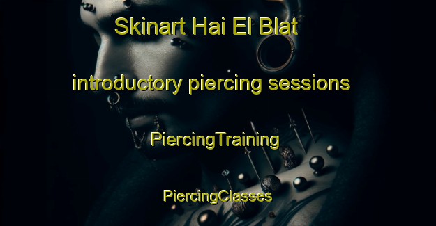 Skinart Hai El Blat introductory piercing sessions | #PiercingTraining #PiercingClasses #SkinartTraining-Lebanon