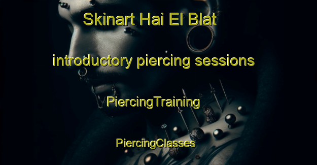 Skinart Hai El Blat introductory piercing sessions | PiercingTraining | PiercingClasses | SkinartTraining-Lebanon