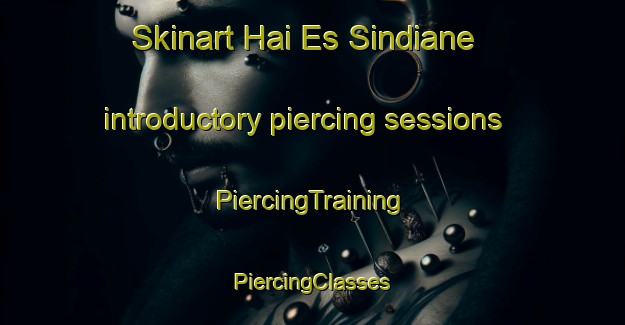 Skinart Hai Es Sindiane introductory piercing sessions | #PiercingTraining #PiercingClasses #SkinartTraining-Lebanon