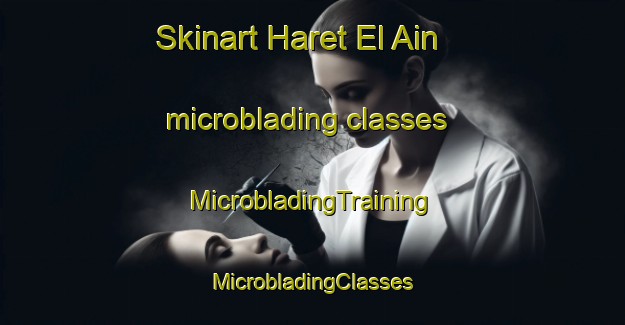 Skinart Haret El Ain microblading classes | #MicrobladingTraining #MicrobladingClasses #SkinartTraining-Lebanon