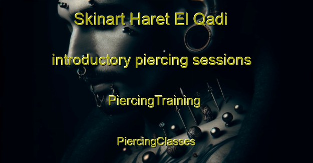 Skinart Haret El Qadi introductory piercing sessions | #PiercingTraining #PiercingClasses #SkinartTraining-Lebanon