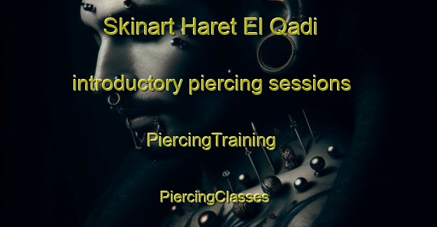 Skinart Haret El Qadi introductory piercing sessions | PiercingTraining | PiercingClasses | SkinartTraining-Lebanon