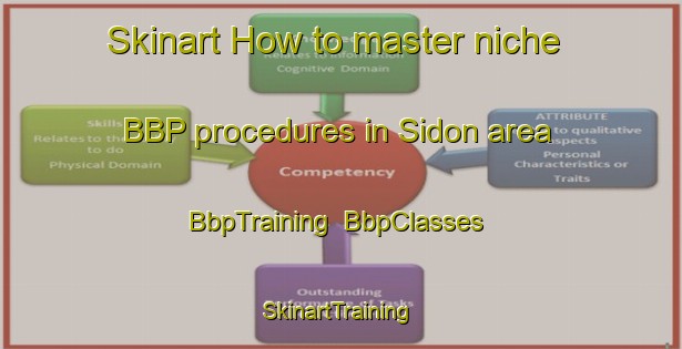 Skinart How to master niche BBP procedures in Sidon area | BbpTraining | BbpClasses | SkinartTraining-Lebanon