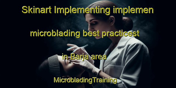Skinart Implementing implemen microblading best practicest in Barja area | MicrobladingTraining | MicrobladingClasses | SkinartTraining-Lebanon
