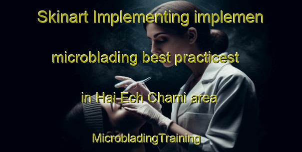 Skinart Implementing implemen microblading best practicest in Hai Ech Chami area | MicrobladingTraining | MicrobladingClasses | SkinartTraining-Lebanon