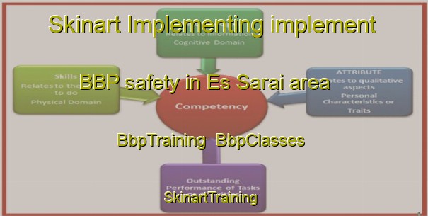 Skinart Implementing implement BBP safety in Es Sarai area | BbpTraining | BbpClasses | SkinartTraining-Lebanon