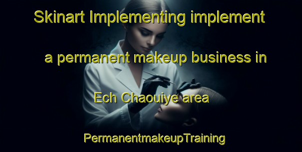 Skinart Implementing implement a permanent makeup business in Ech Chaouiye area | PermanentmakeupTraining | PermanentmakeupClasses | SkinartTraining-Lebanon