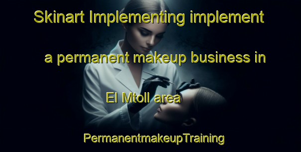 Skinart Implementing implement a permanent makeup business in El Mtoll area | PermanentmakeupTraining | PermanentmakeupClasses | SkinartTraining-Lebanon