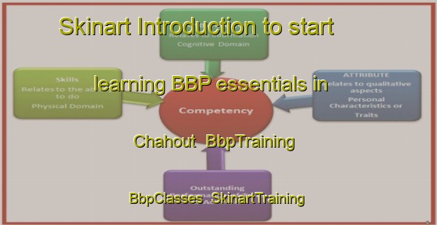 Skinart Introduction to start learning BBP essentials in Chahout | BbpTraining | BbpClasses | SkinartTraining-Lebanon