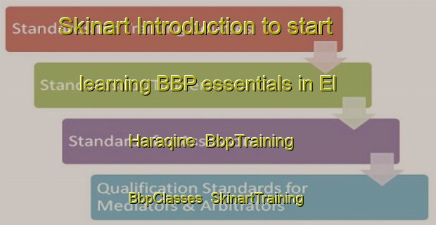 Skinart Introduction to start learning BBP essentials in El Haraqine | BbpTraining | BbpClasses | SkinartTraining-Lebanon