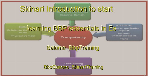 Skinart Introduction to start learning BBP essentials in Es Salome | BbpTraining | BbpClasses | SkinartTraining-Lebanon